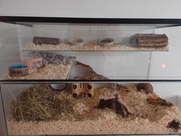 Hamster terrarium / aquarium beschikbaar voor biedingen