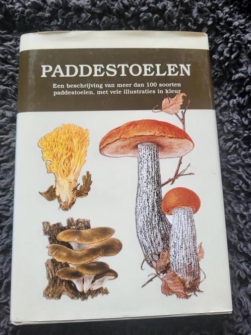 G. Becker - Paddestoelen - Natuurgids - Paddenstoelen, Boeken, Natuur, Gelezen, Natuur algemeen, Ophalen of Verzenden