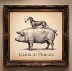 Dachshund Teckel op Varken kunst poster, Ophalen of Verzenden