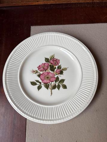 Wedgwood Briar Rose Ontbijtbord beschikbaar voor biedingen