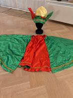 Carnavalskleding: Prins Carnaval, Carnaval, Overige maten, Ophalen of Verzenden, Zo goed als nieuw