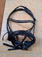 Lak hoofdstel maat cob, Dieren en Toebehoren, Paarden en Pony's | Hoofdstellen en Tuigage, Ophalen of Verzenden, Zo goed als nieuw