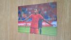 Foto 20x30cm met handtekening; Luciano Narsingh # Feyenoord, Verzenden, Nieuw, Feyenoord