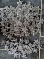 Lichtsnoer sterretjes, Diversen, Ophalen of Verzenden, Zo goed als nieuw