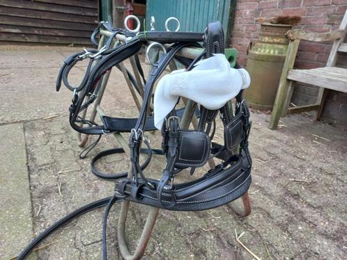 Nieuw shetland mini mini tuigje, Dieren en Toebehoren, Paarden en Pony's | Hoofdstellen en Tuigage, Nieuw, Overige soorten, Ophalen