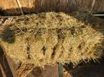 Tekoop grote/kleine balen hooi & stro, Dieren en Toebehoren, Ophalen of Verzenden, Vee
