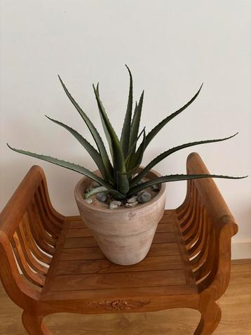 Aloe vera kunstplant beschikbaar voor biedingen