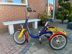 Driewieler mini van Raam zgan driewielfiets, Ophalen of Verzenden, Zo goed als nieuw