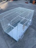 vogelkooi, Ophalen of Verzenden, Zo goed als nieuw, Metaal, Vogelkooi
