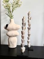 Set Van 3 Schelpen Op Voet Schelp Natuur, Veens Living, Nieuw, Elst, Info@veensliving.nl