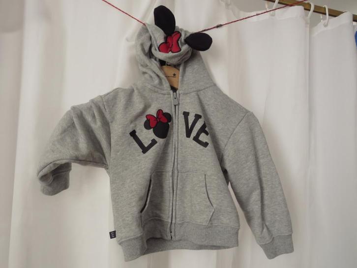 grijs love minnie hoodie minnie vest disney Gap 4 jaar, Kinderen en Baby's, Kinderkleding | Maat 104, Gebruikt, Meisje, Trui of Vest