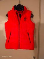 Mooie Gaastra Bodywarmer Fel Oranje Dames S Meisjes 158-164, Kleding | Dames, Bodywarmers, Gaastra, Oranje, Ophalen of Verzenden