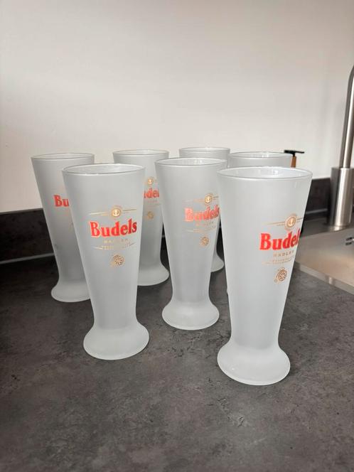 7x Budels Radler Glazen Mat 25cl, Verzamelen, Biermerken, Gebruikt, Glas of Glazen, Overige merken, Ophalen of Verzenden