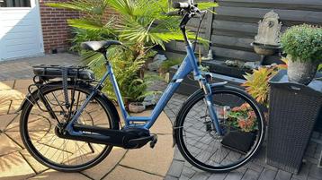 Pegasus Ravenna D60 400wh. beschikbaar voor biedingen