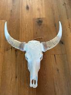 Schedel decoratie, Ophalen of Verzenden, Zo goed als nieuw