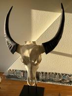 Buffel schedel, Ophalen, Zo goed als nieuw