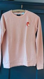 Scotch and soda sweater maat XS, Kleding | Dames, Ophalen of Verzenden, Zo goed als nieuw, Maat 34 (XS) of kleiner