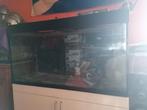 Glazen aquarium 120 cm lang, Dieren en Toebehoren, Vissen | Aquaria en Toebehoren, Ophalen of Verzenden, Gebruikt, Leeg aquarium