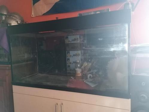 Glazen aquarium 120 cm lang, Dieren en Toebehoren, Vissen | Aquaria en Toebehoren, Gebruikt, Leeg aquarium, Ophalen of Verzenden
