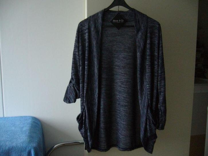 Anne Parker vest maat M nieuw, Kleding | Dames, Truien en Vesten, Nieuw, Maat 38/40 (M), Blauw, Ophalen of Verzenden