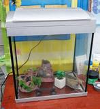 SuperFish AQUA 30 L + Meubel SuperFish Start 30, Ophalen, Gebruikt, Leeg aquarium