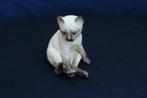 Royal Worcester Kittens Siamees 1978, Verzamelen, Ophalen, Dier