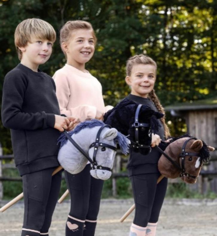 Hobby Horse, Dieren en Toebehoren, Paarden en Pony's | Overige Paardenspullen, Nieuw, Ophalen of Verzenden
