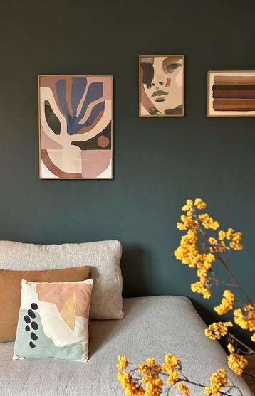 Diverse restanten verf: farrow and ball en flexa beschikbaar voor biedingen