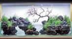 Scapers stenen, de grootste keus aquariumstenen! 30 soorten, Ophalen of Verzenden, Nieuw, Plant(en), Steen of Hout