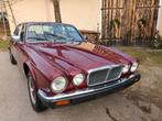 Jaguar series 3 XJ 4.2 Liter automaat 16-12-1981 - project, Auto's, Oldtimers, Te koop, Benzine, Jaguar, 4198 cc