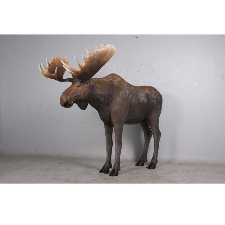 Moose Life Size beeld – Eland Lengte 236 cm, Verzamelen, Dierenverzamelingen, Nieuw, Overige typen, Ophalen