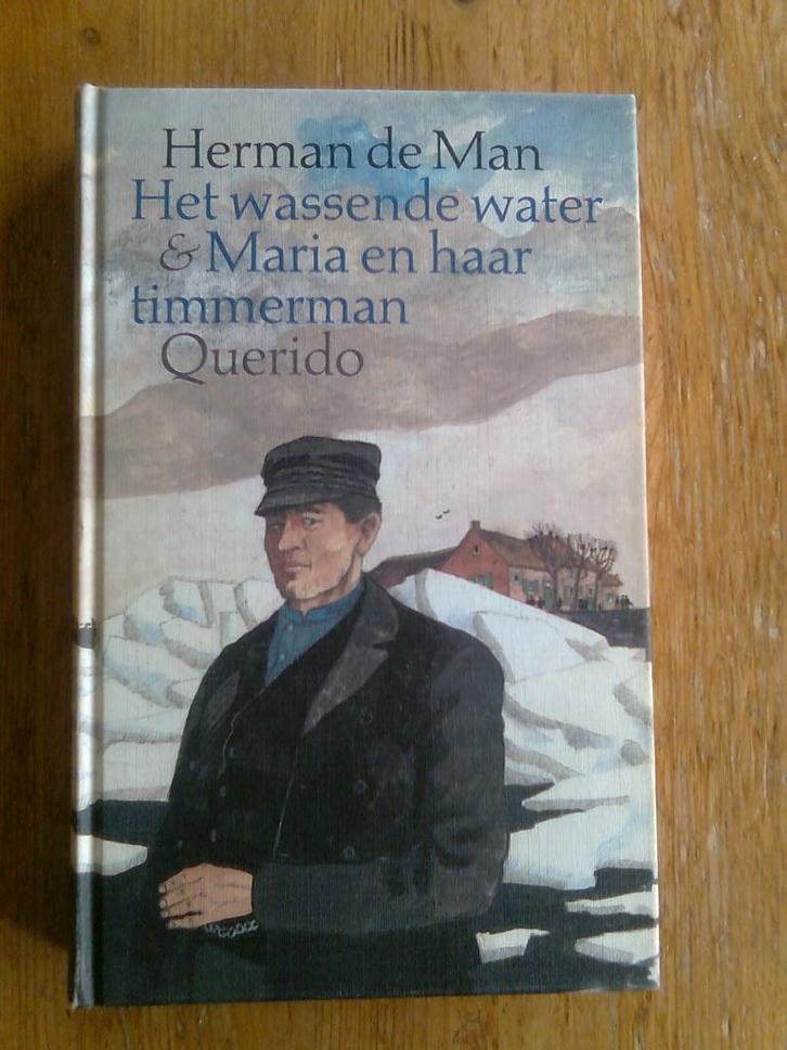 Het wassende water, en andere van Herman de Man, Boeken, Literatuur, Gelezen, Ophalen of Verzenden