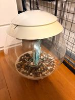 Biorb halo, Ophalen, Zo goed als nieuw, Leeg aquarium