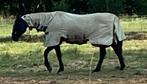 Paarden dekenRambo hoody sweet itch 6’9, Dieren en Toebehoren, Verzenden, Zo goed als nieuw, Deken