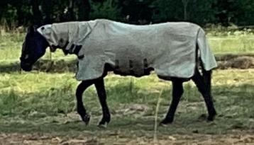 Paarden dekenRambo hoody sweet itch 6’9 beschikbaar voor biedingen