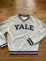 Yale sweater maat 170, Ophalen of Verzenden, Zo goed als nieuw, Meisje, Trui of Vest