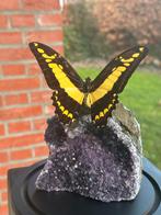 Vlinder in stolp - op amethist, Ophalen of Verzenden, Mineraal