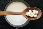 Verse Melk Kefir Korrels | 50 g, Diversen, Levensmiddelen, Ophalen