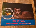 Poes ligt naast vissenkom - Jij en ik zijn echte vrienden, Verzamelen, Ansichtkaarten | Dieren, Verzenden, 1980 tot heden, Ongelopen