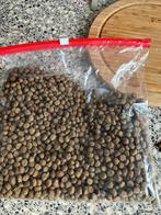 Vegan hondenbrokken, Dieren en Toebehoren, Ophalen, Hond