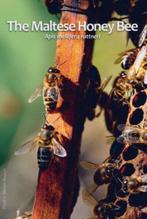 2 x 2 euro Malta 2024, Postzegels en Munten, Munten | Europa | Euromunten, Ophalen of Verzenden, Malta, 2 euro