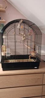 Vogelkooi Ferplast Greta zwart, Ophalen, Zo goed als nieuw, Hout, Vogelkooi