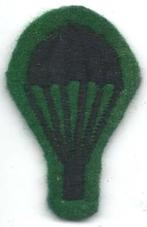 British Army Parachutist Royal Green Jackets ( Light Bulb ), Embleem of Badge, Ophalen of Verzenden, Engeland, Landmacht