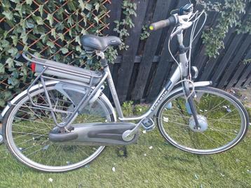 Gazelle Orange pure met werk beschikbaar voor biedingen
