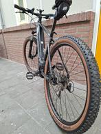 gezocht 29 inch achterwiel 10 speed 148/12 met quick release, Fietsen en Brommers, Fietsonderdelen, Ophalen, Mountainbike, Wiel