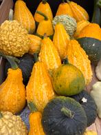 Decoratieve Kalebassen - Herfstdecoratie, Huis en Inrichting, Ophalen, Nieuw