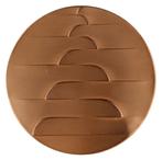 Penning VPK 1989 Lucie Nijland : Nederlandse Spoorwegen, Verzenden, Overige materialen, Nederland