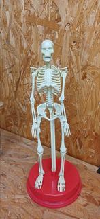 Vintage 1991 workman publishing Mens Sketel, Ophalen of Verzenden, Zo goed als nieuw