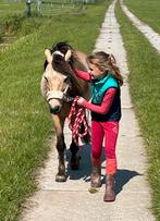 Kinderpony, Ruin, Dressuurpony, A pony (tot 1.17m), 11 jaar of ouder