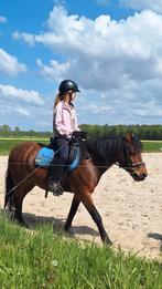 Gezocht een lease paard, Dieren en Toebehoren, Paarden en Pony's | Verzorgingsproducten, Ophalen of Verzenden